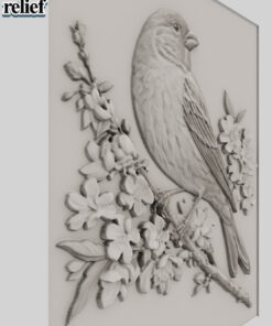 Alternative view of Bird