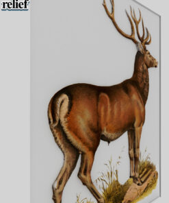 Alternative view of Deer