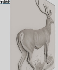 Alternative view of Deer