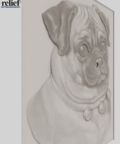 Alternative view of Dog