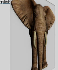 Alternative view of Elephant