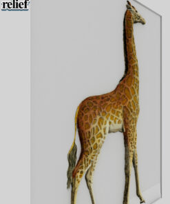 Alternative view of Giraffe
