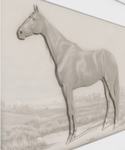 Alternative view of Horse
