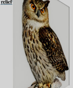 Alternative view of Owl